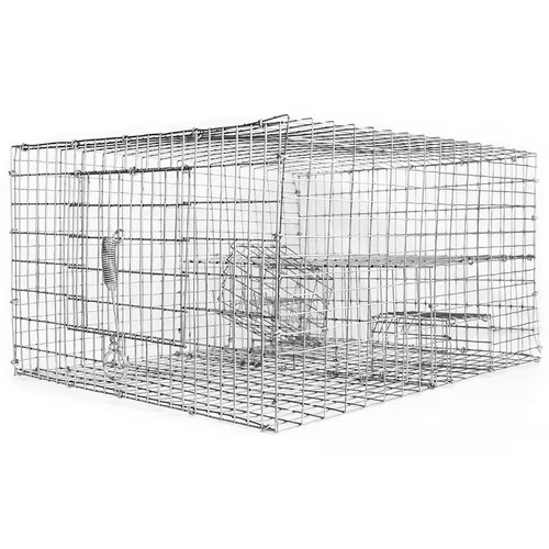 New sparrow bird trap - sparrow,