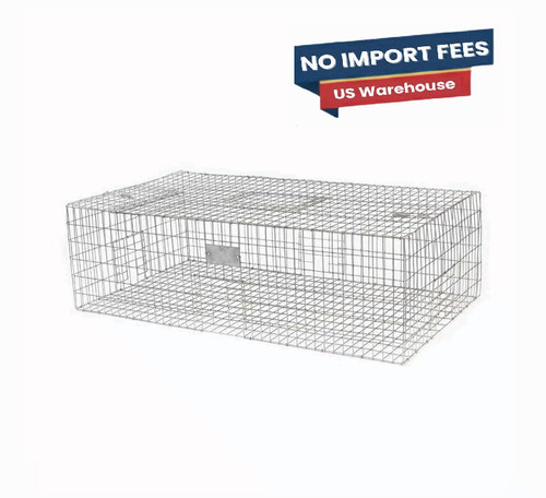 Bird gone pigeon trap - pigeon, with