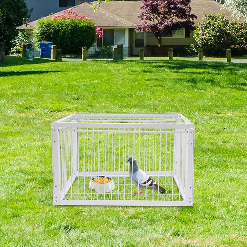 Doors pigeon trap cage - 4,