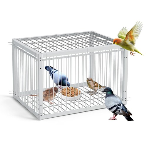 Pigeon bird trap cage - bird,