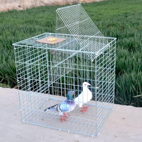 Bird trap catching net catcher - bird,