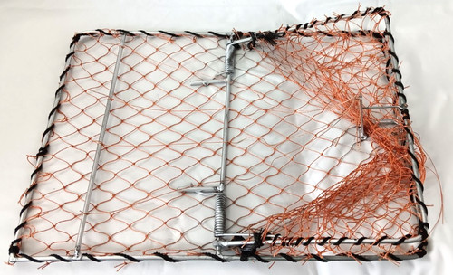 Bird trap net - net, catcher
