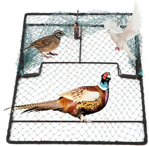 Humane pigeon trap bird - humane,