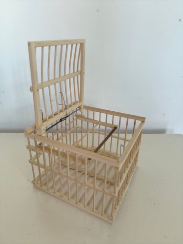 Birdcage repeating trap cage - trap,