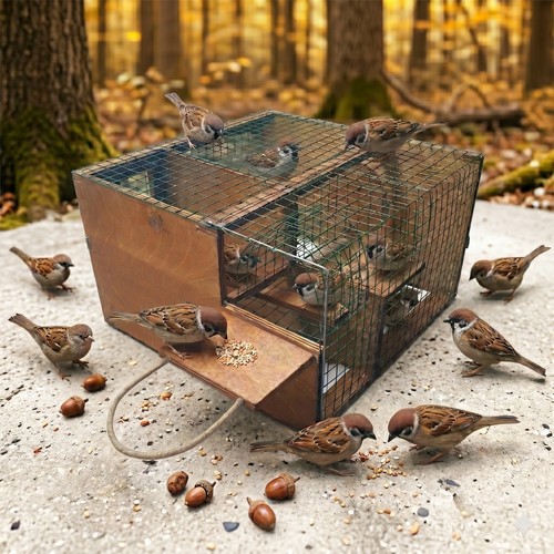 New model sparrow - new, trap