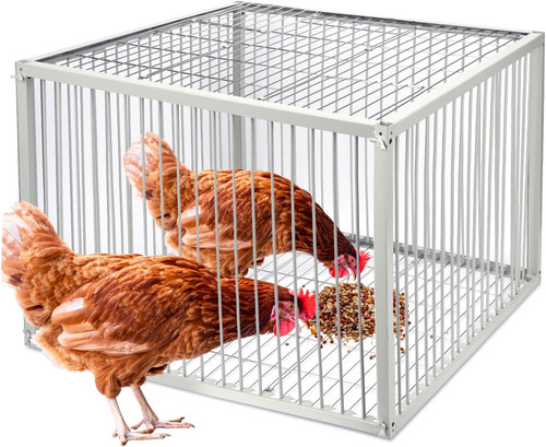 Chicken trap cage with - trap,