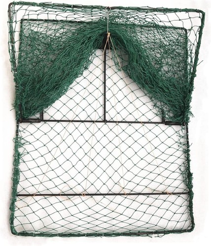 Medium spring domestic bird - spring,