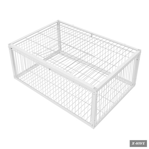 Trap cage chicken - chicken, with