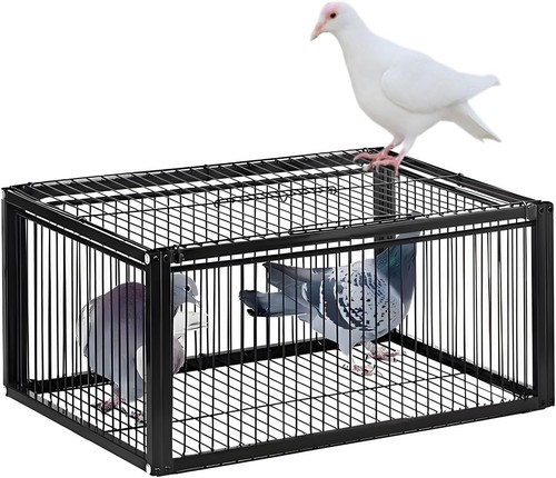 Pigeon trap cage one - pigeon, cage,