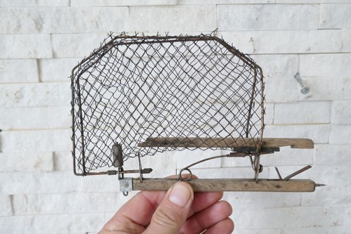 Antique old bird trap - trap, net