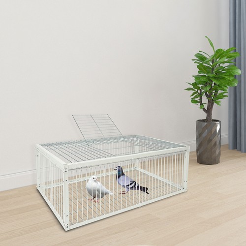 Pigeon trap cage bird - trap,