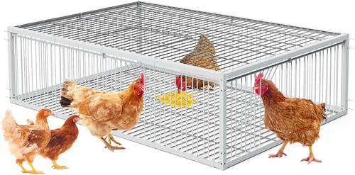 Trap cage chicken - cage, with
